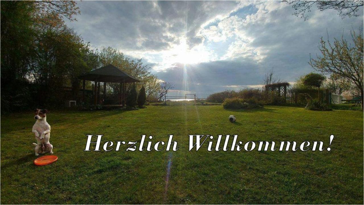 Villa Beata Nowe Warpno Exteriör bild